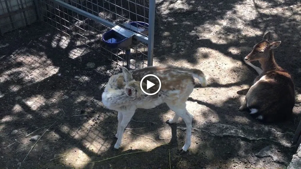 Il Casolare delle Balze_Maniace_slider_image_2