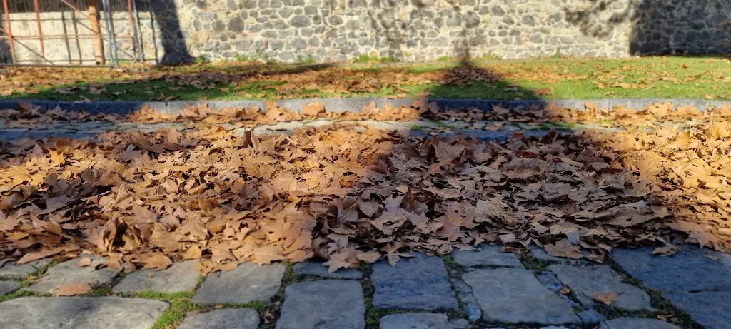 Conrad Aquilina_Castello Nelson - Bronte_Maniace_review