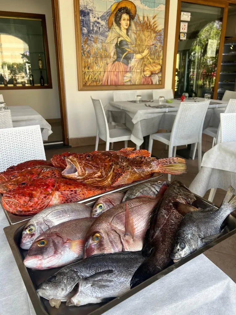 Martino_Lipari_slider_image_2