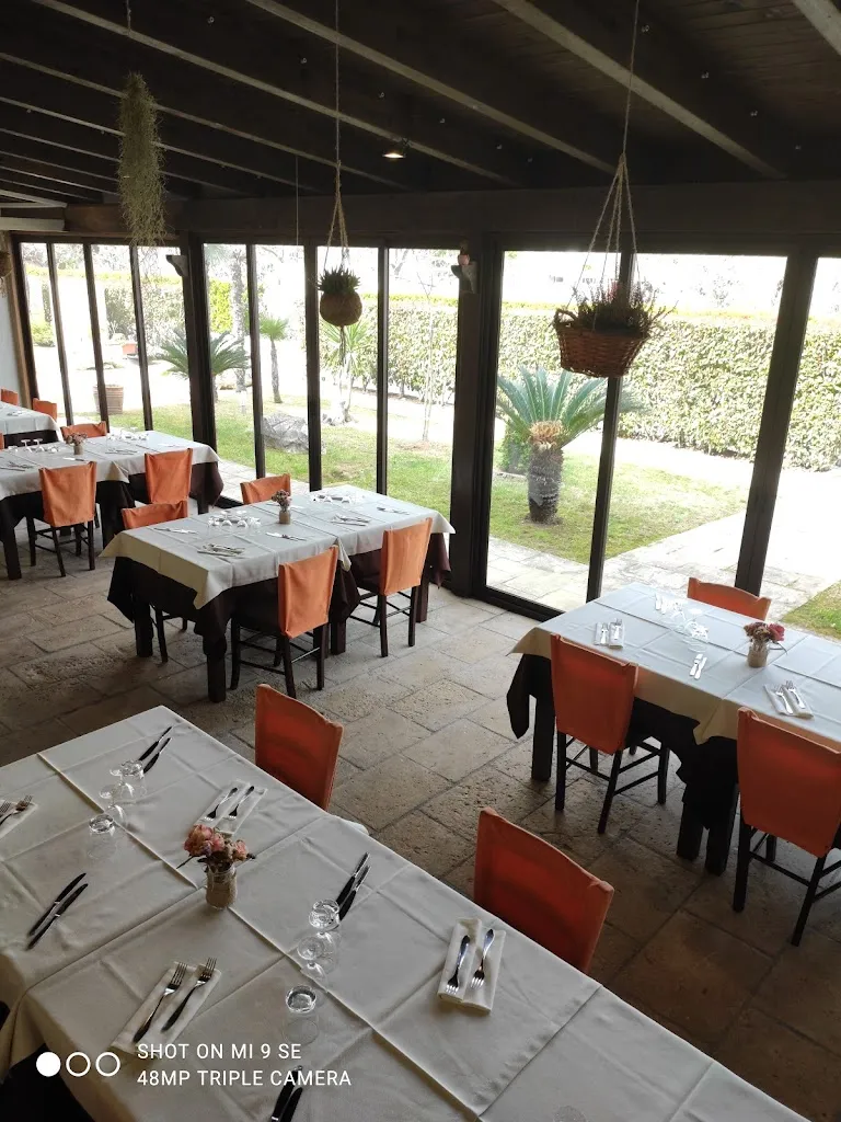 Ristorante Pizzeria La Tana Del Lupo Di De Carlo Giuseppe restaurant in Lequile