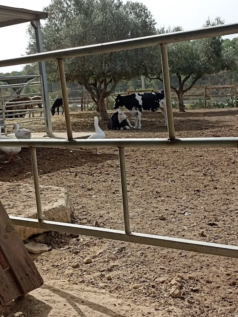 Nicolò S_Terrasole_Mazzarino_review