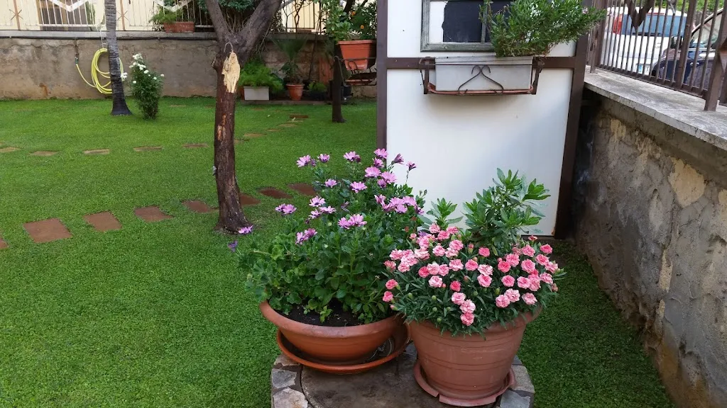 Terranova Vincenzo_Mazzarino_slider_image_1