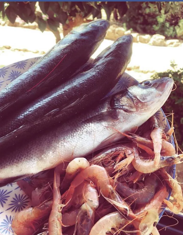 Menu_Al Giardino_Mazzarino_image_6