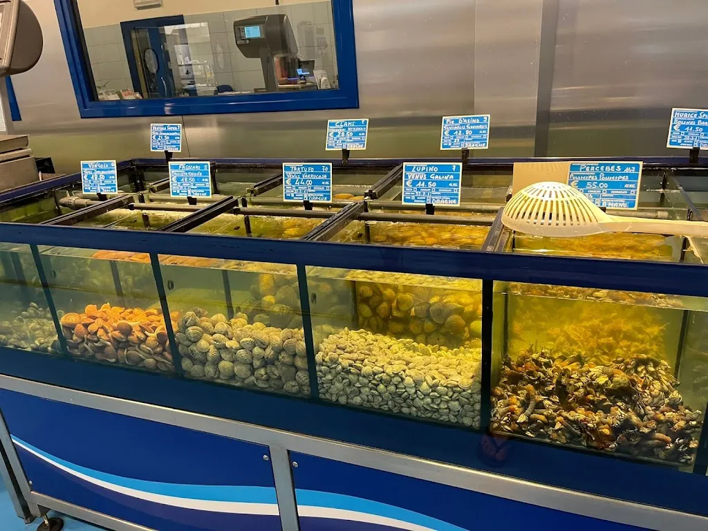 Dusko ILIC_Maréaviva Ostricheria Crostaceria Molluscheria_Mazara II_review