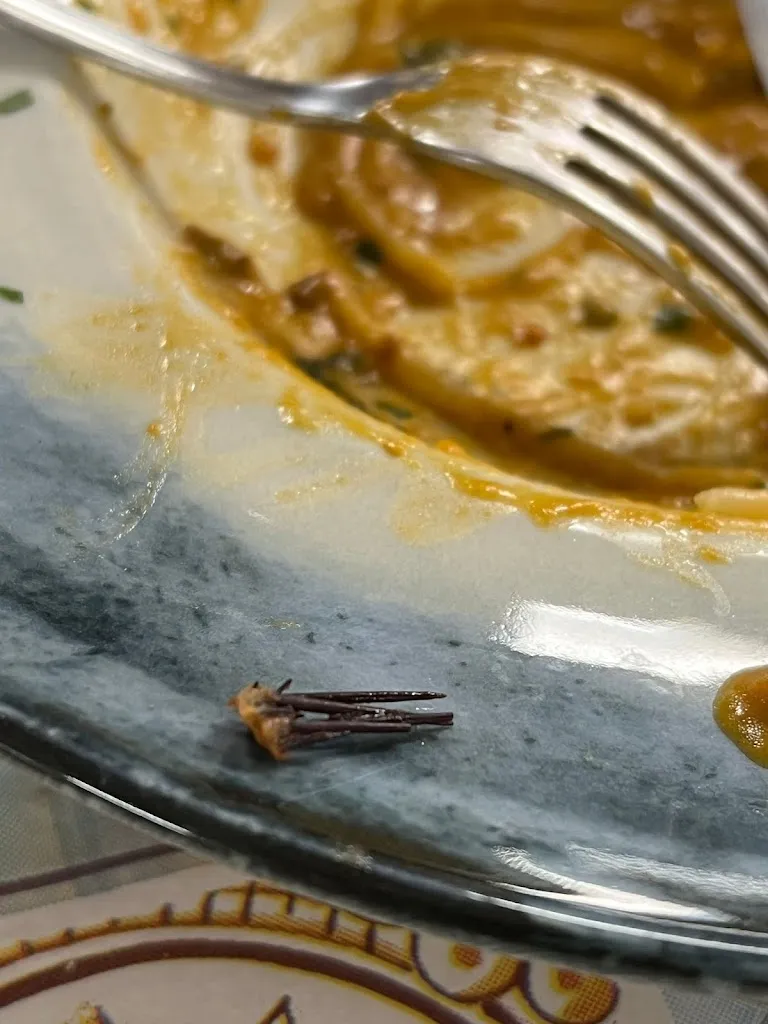 Glead Kafilaj_Ristorante Pizzeria Baby Luna_Mazara II_review