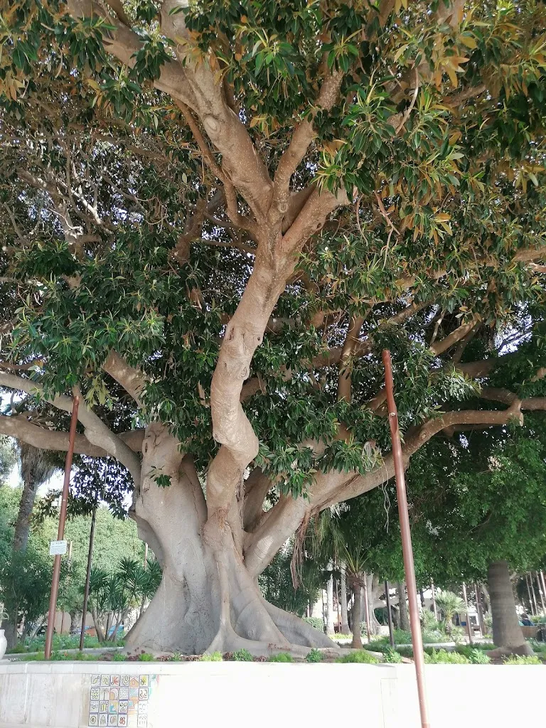 Edgardo Albertini_mazara del vallo_Mazara II_review