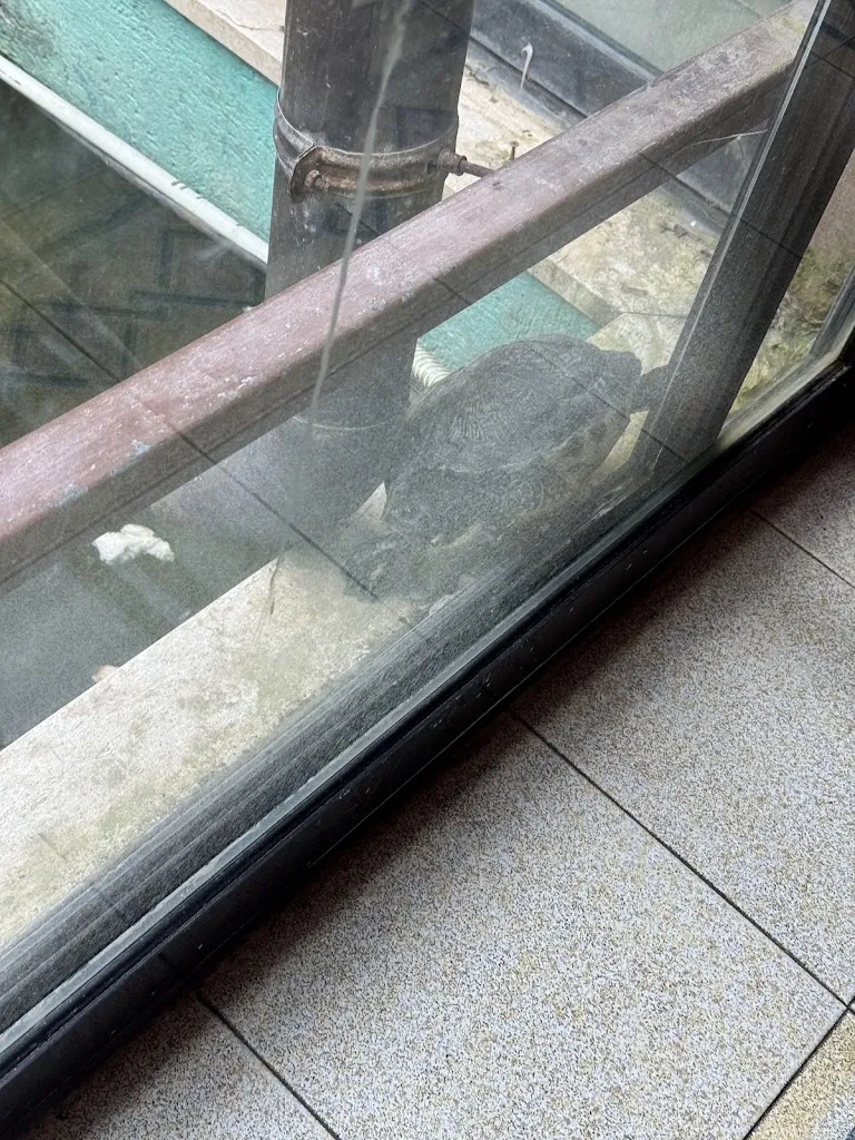 JOINMARIA_Osteria Sapor DiVino_Mazara del Vallo_review