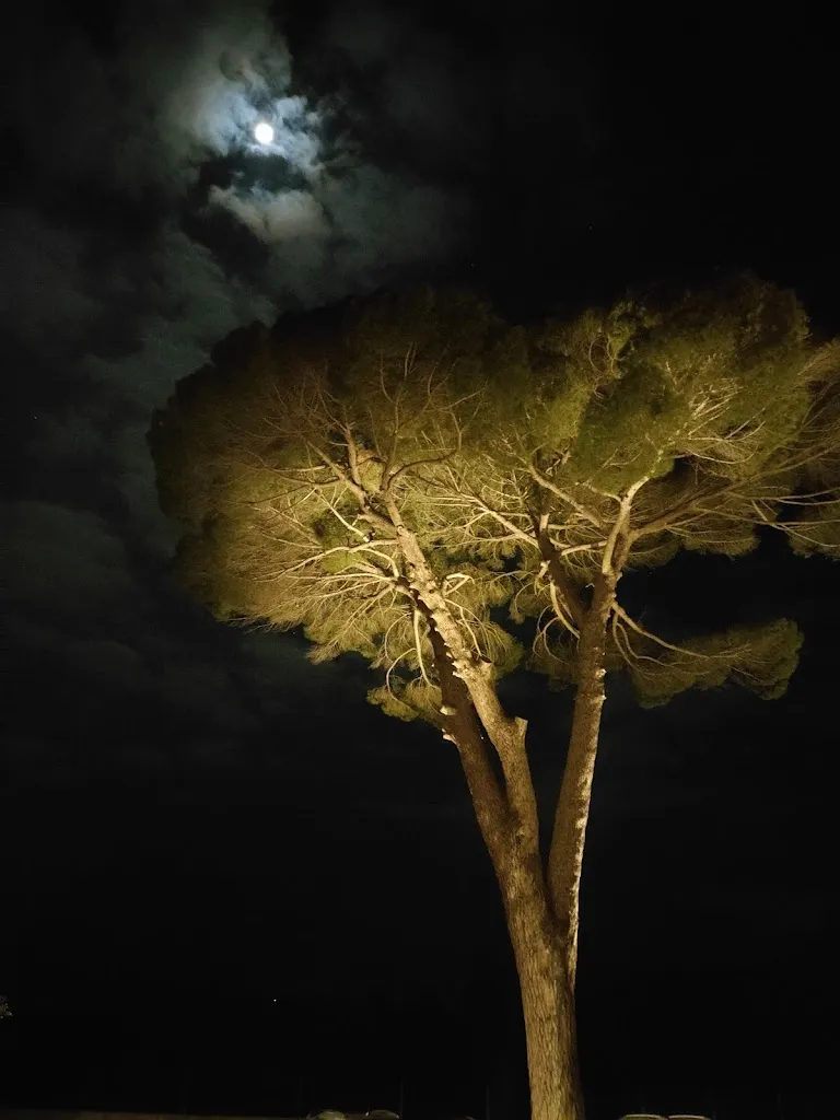 Francy Scire'_Frantoi Berretta_Mirabella Imbaccari_review