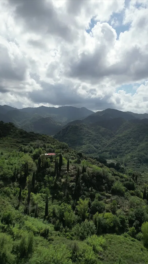 Ristorante Pizzeria Frà Michele_Monforte San Giorgio_slider_image_2