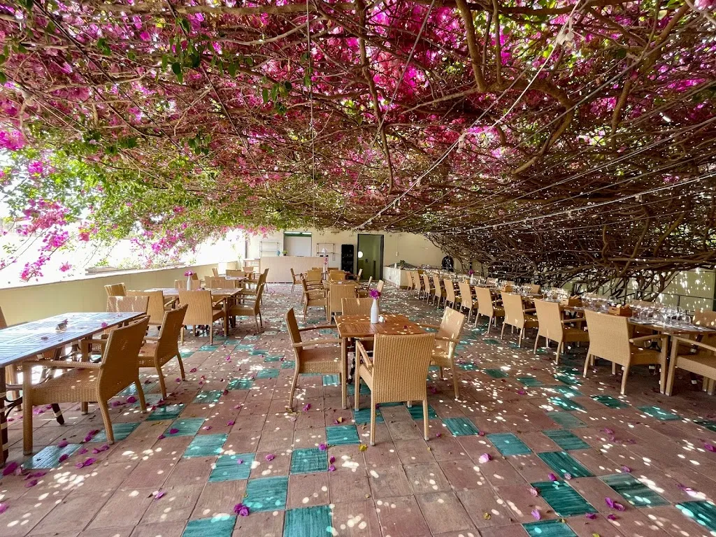 Maharìa_Menfi_slider_image_1