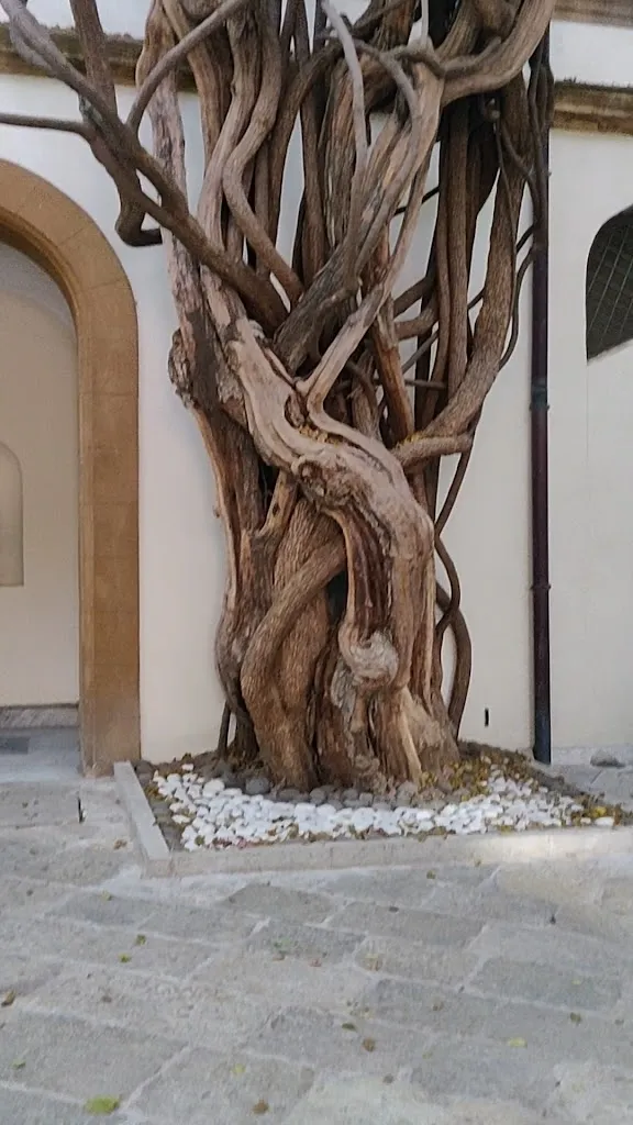 Maharìa_Menfi_slider_image_2