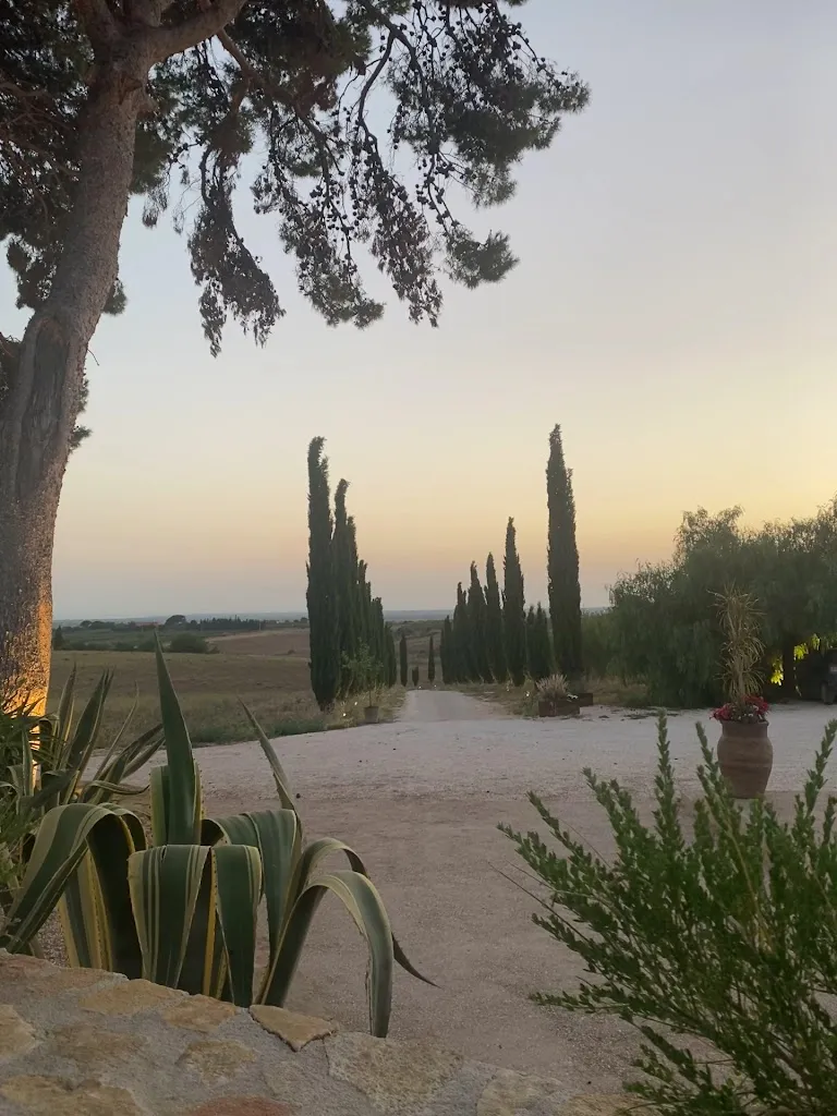 Masseria del Carboj_Menfi_slider_image_2