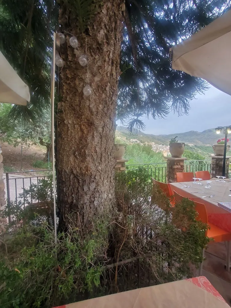 Susan Smith_Trattoria Monte D'Oro Montelepre_Montelepre_review