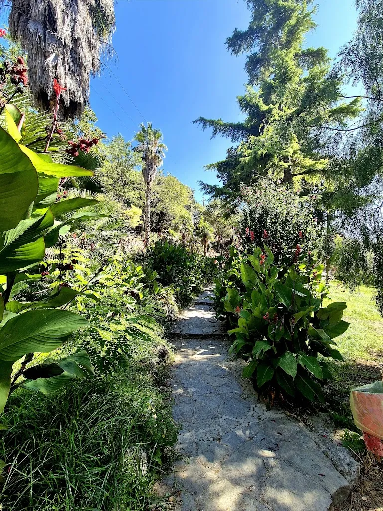 Maria Csipak_Barètto_Montelepre_review