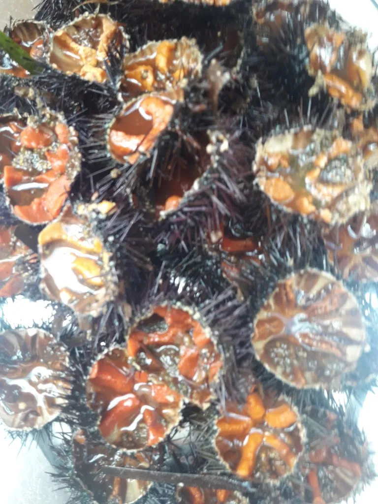 Menu_Marino's sec ristorante_Misilmeri_immagine_6