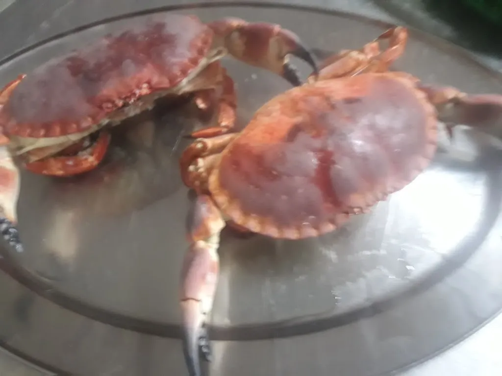 Menu_Marino's sec ristorante_Misilmeri_immagine_9