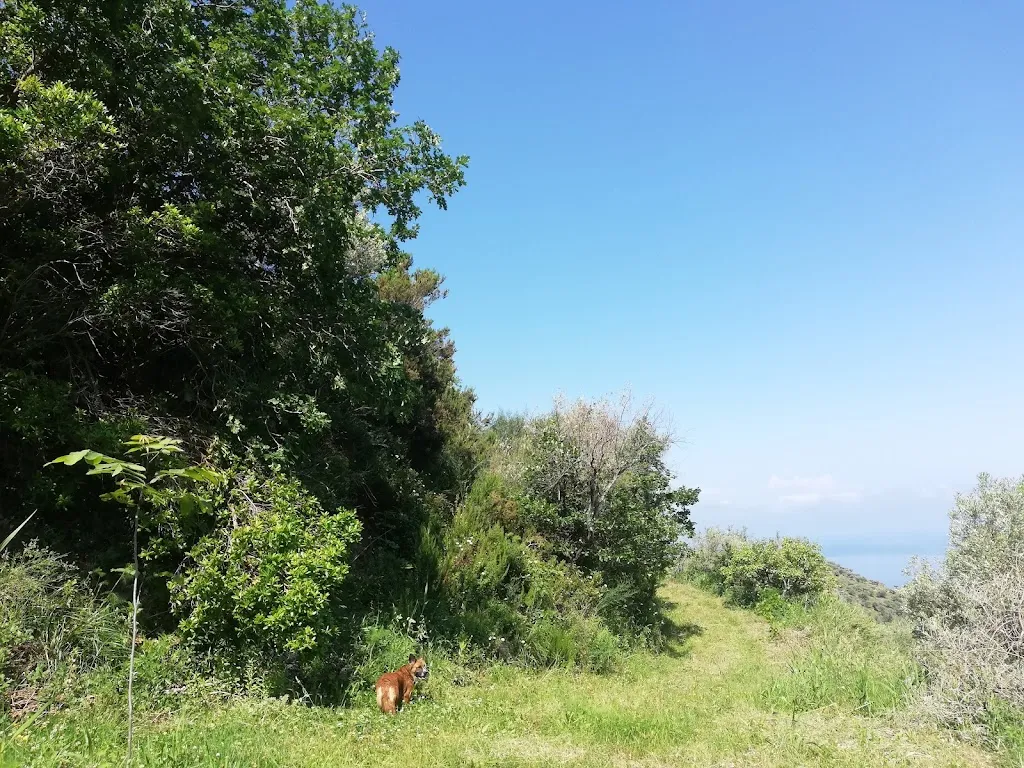 Home restaurant, eco village, camping, garden_Motta d'Affermo_slider_image_2