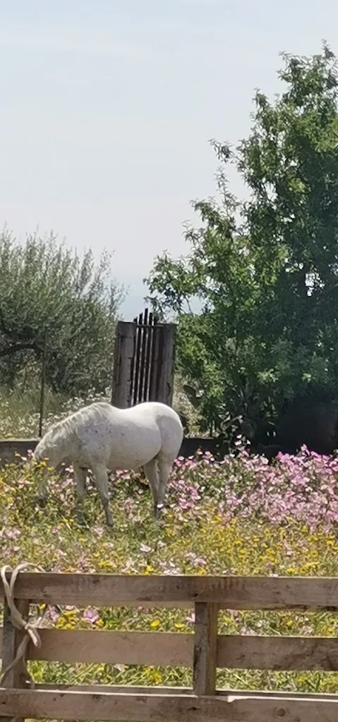 Casale Terre Nere_Motta Sant'Anastasia_slider_image_2