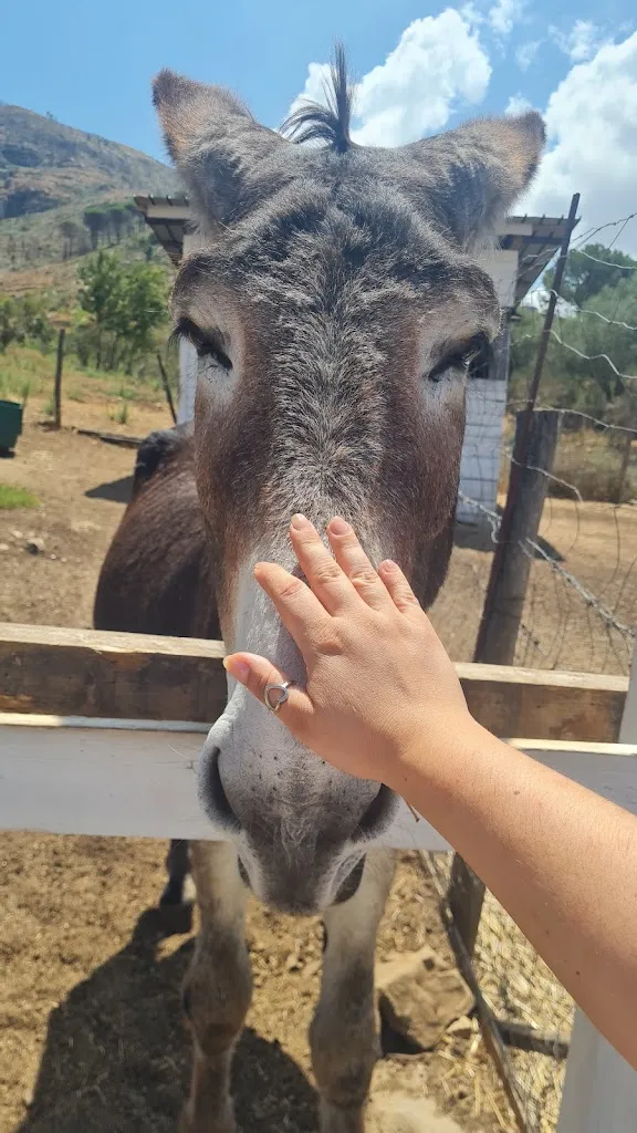 Roberta Siino_Fattoria Sant'Anna_Monreale_review