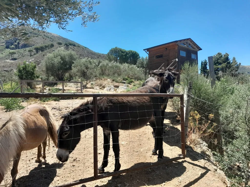 Fattoria Sant'Anna_Monreale_slider_image_3