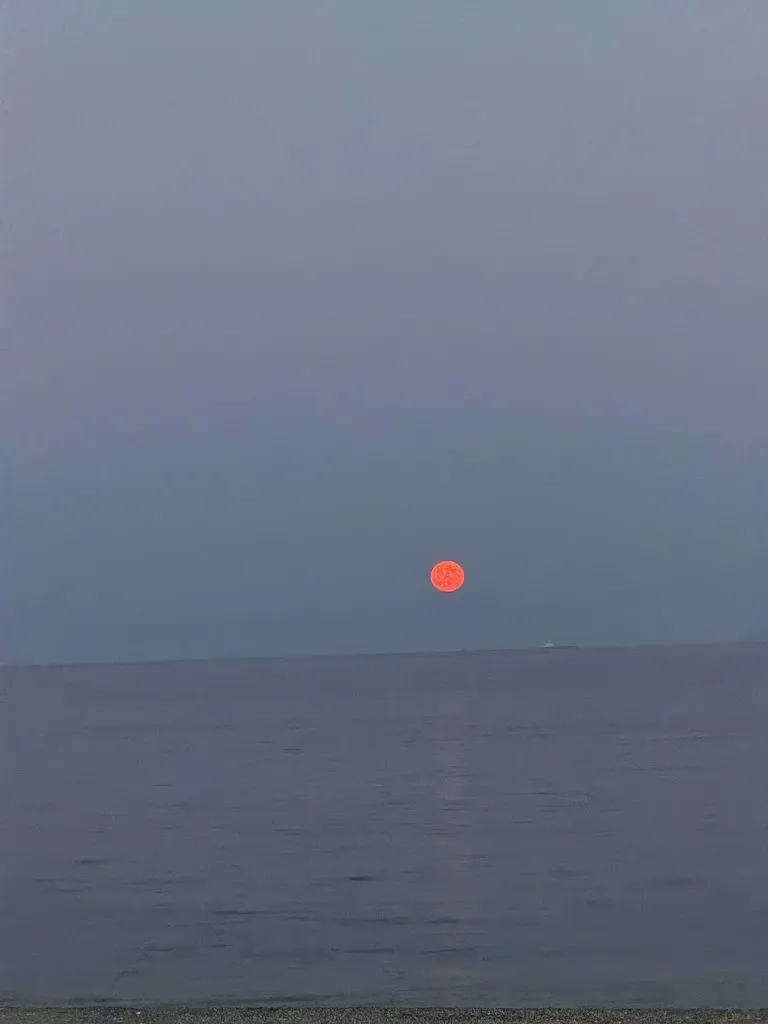 Angelo_Chicco burger_Nizza di Sicilia_review