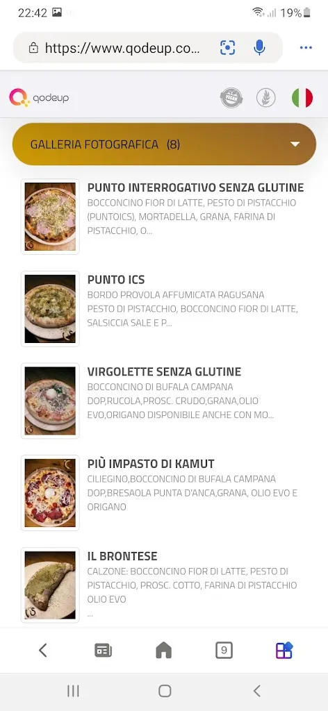 Menu_PuntoICS Pizzeria Ristorante American Bar Nicolosi_Nicolosi_image_2