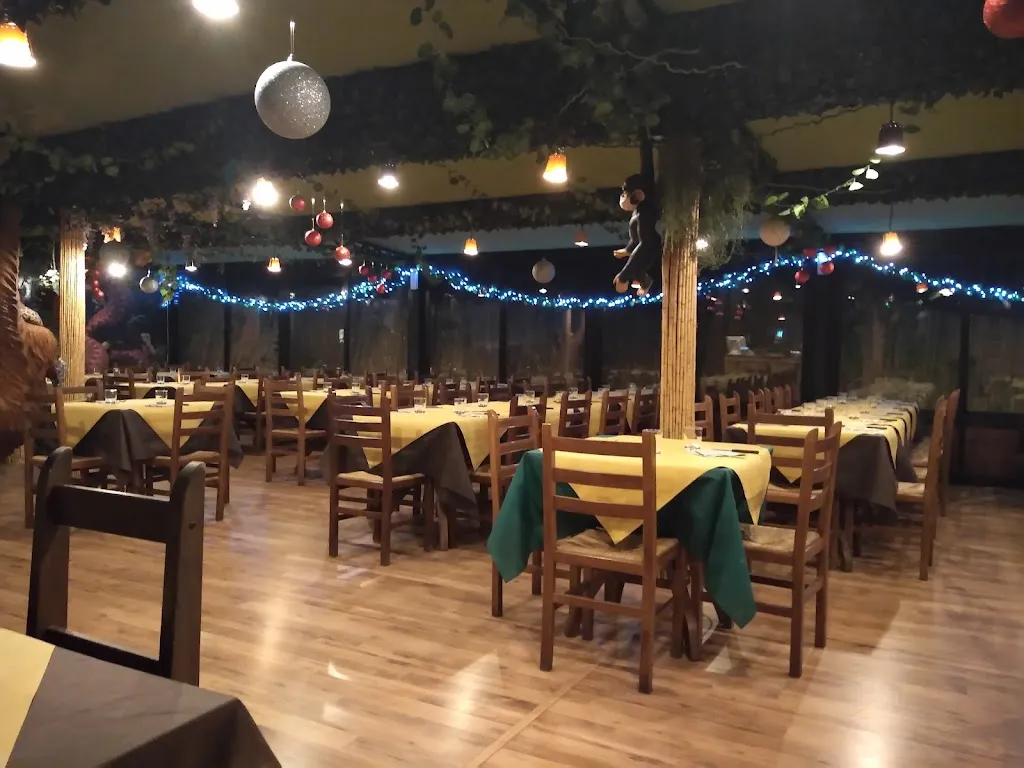 Gorilla Theme PUB_Nicolosi_slider_image_1