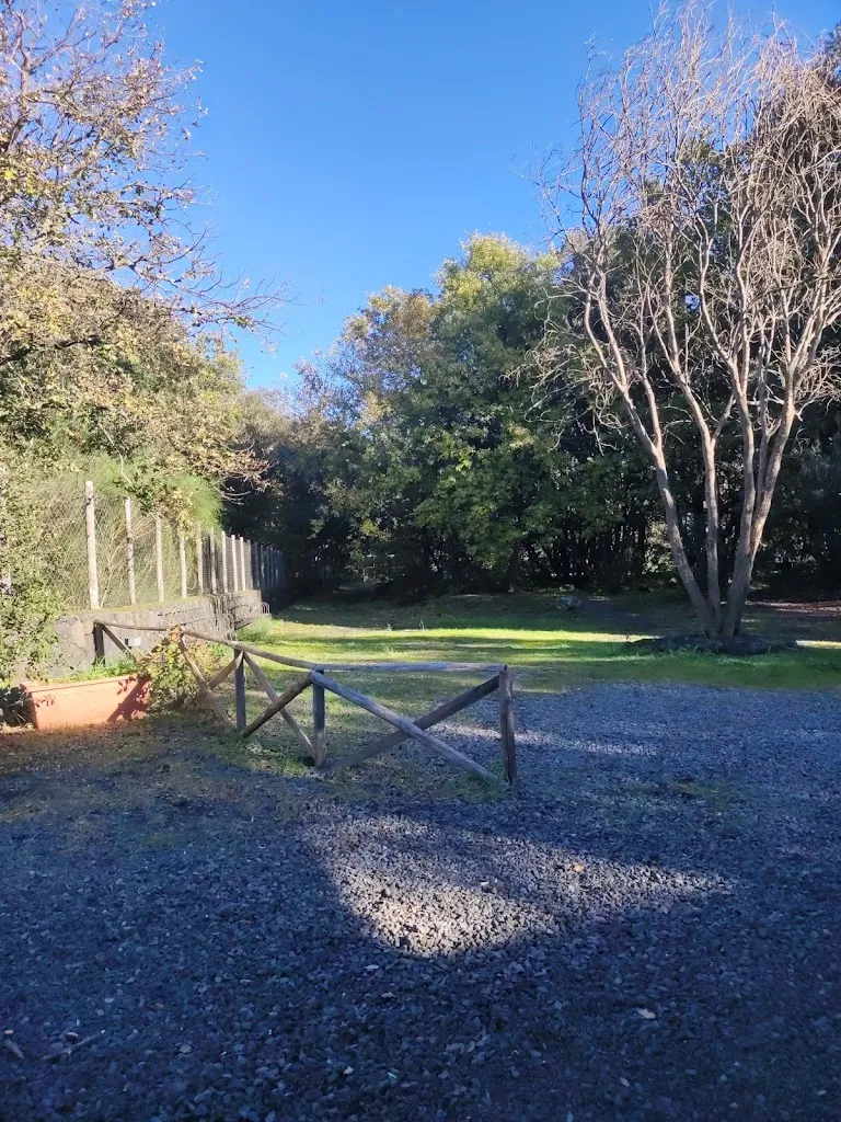 Guglielmo Schifone_Il Giardino Degli Ilici_Nicolosi_review