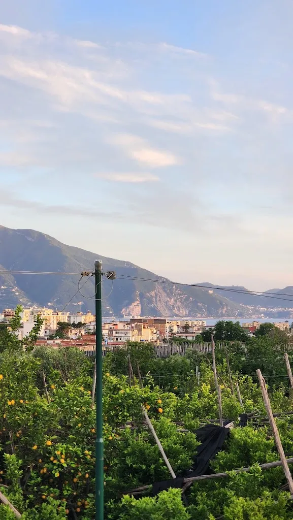 Wojciech_Tenuta Nunziata - food / relax / biofarm_Nunziata_review