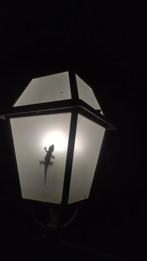 Peter Sprot_Tenuta Bellaprima_Niscemi_review