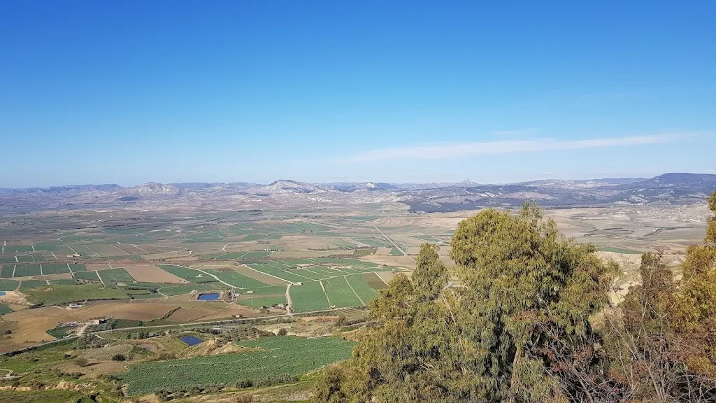 Miro food & drink_Niscemi_slider_image_3