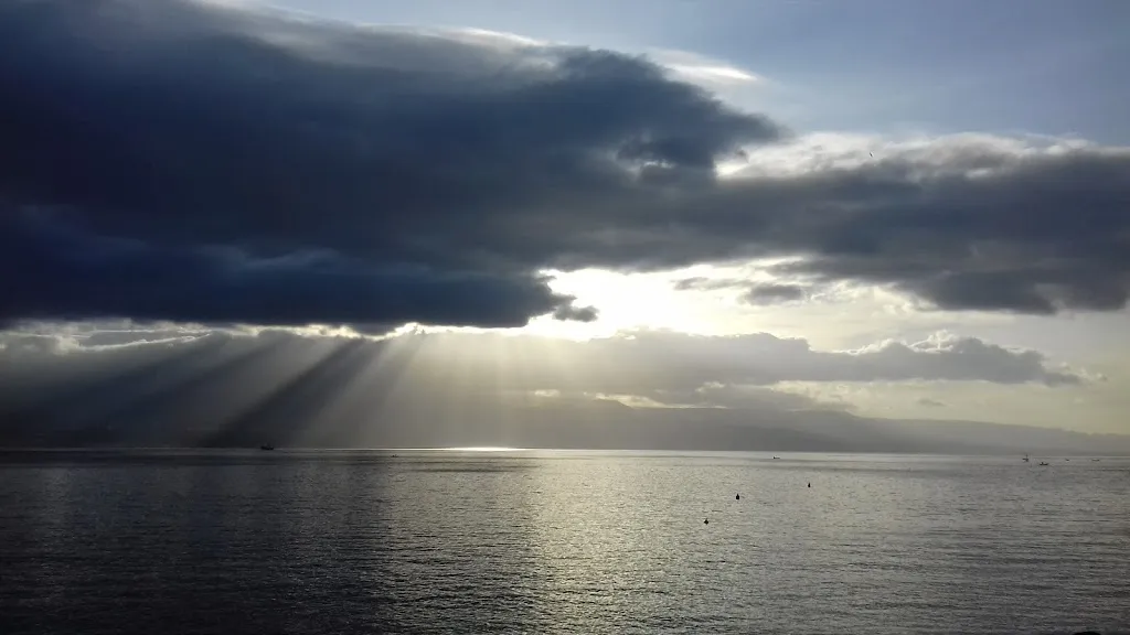 Bar Millennium restaurant in Nuova Gibellina