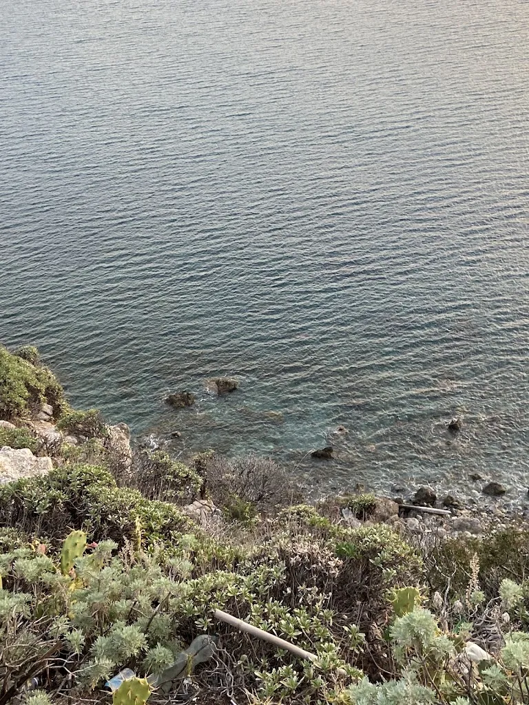 Diva Ricevuto_Barlume_Pace del Mela_review