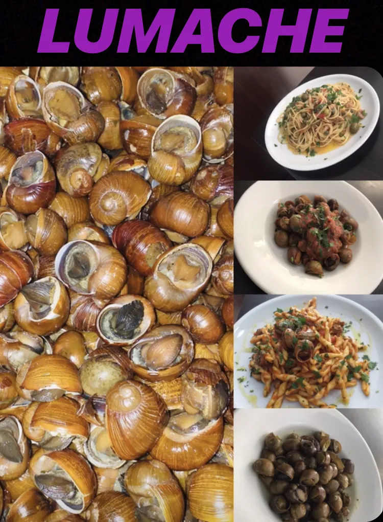 Menu_Bar - Trattoria - Ristorante SilverBar_Pace del Mela_image_7