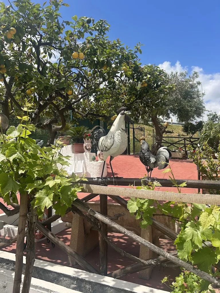 Maria Francesca Gulino_Il Giardino Saraceno PANE CUNZATU Roccalumera_Pagliara_review
