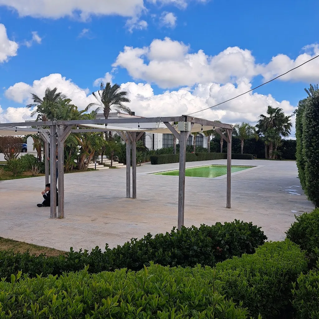 Adele Bonaro_Kaleidos_Paceco_review