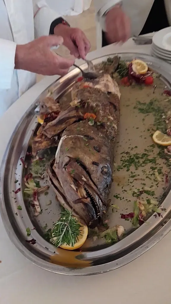 Caterina Carollo_Kaleidos_Paceco_review