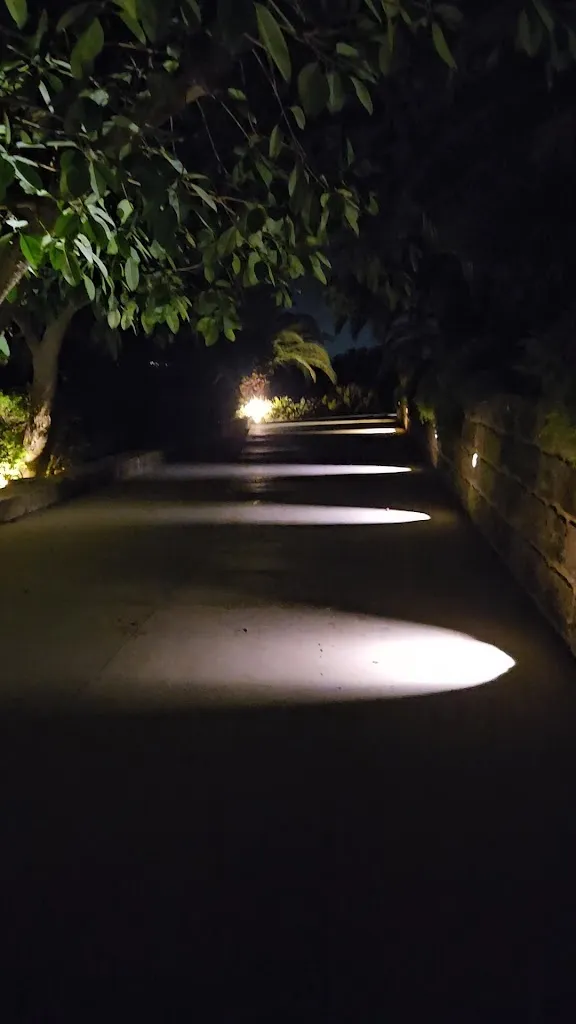 Gian cat_Ristorante Santagostino_Paceco_review