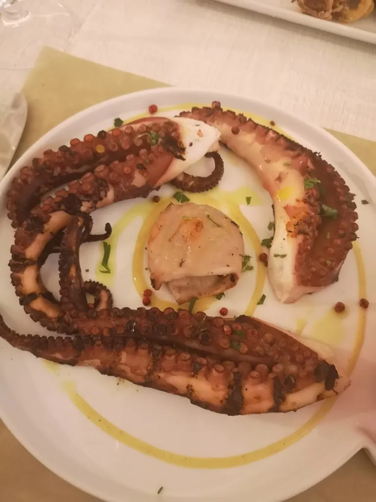 Amra_Tannur_Noto_review