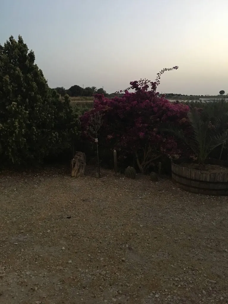 Diana Valcheva_Vini Sultana_Pachino_recensione