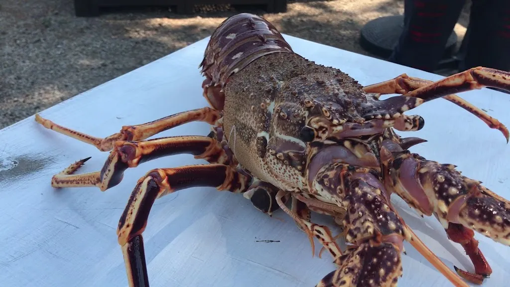 Trattoria Nereo_Patti_slider_image_2