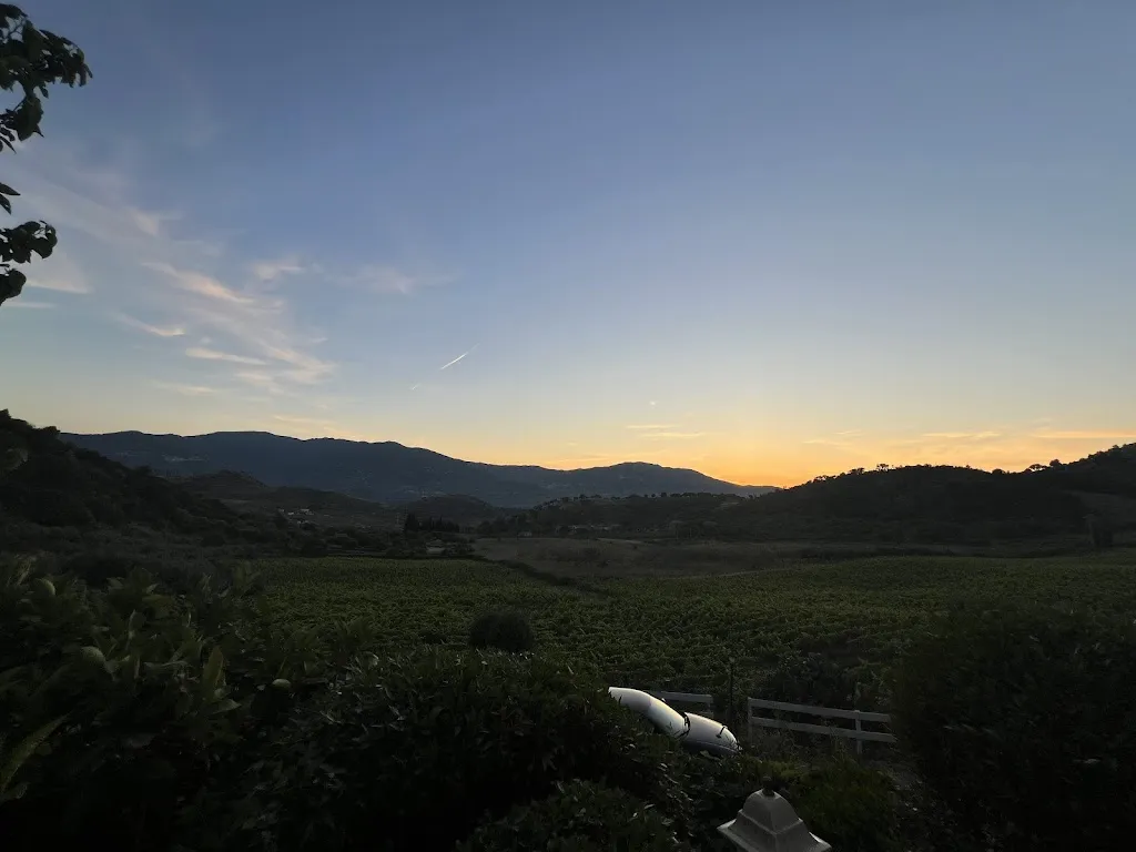 Simple Eagle_Antica Tindari_Patti_review