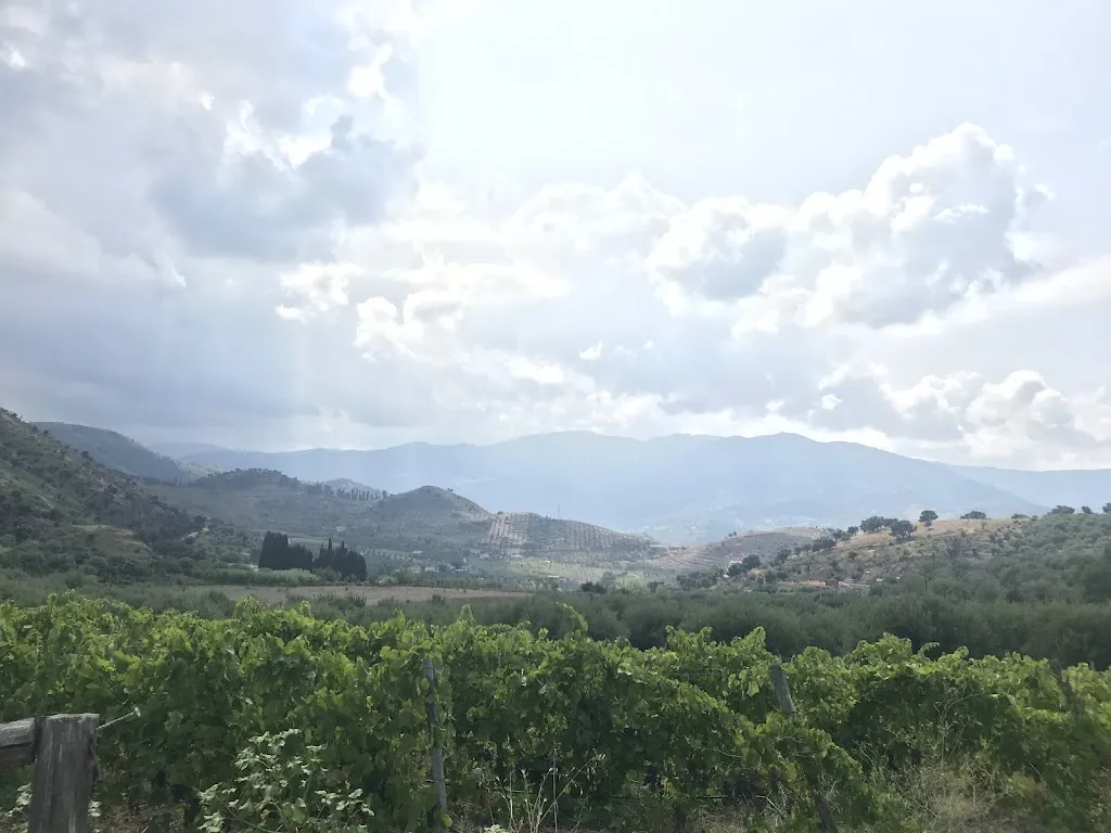 Alexey Philippov_Antica Tindari_Patti_review