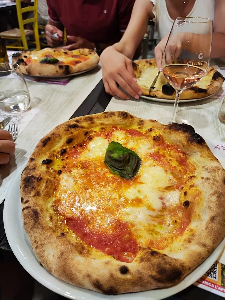 Adriana Popovich_Springfield2015 Ristofamily_Leporano_review