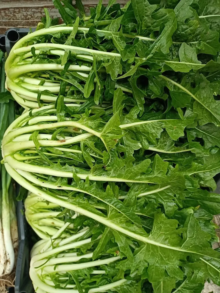 Menu_Frantoio Masseria Fatalò_Lizzanello_image_5