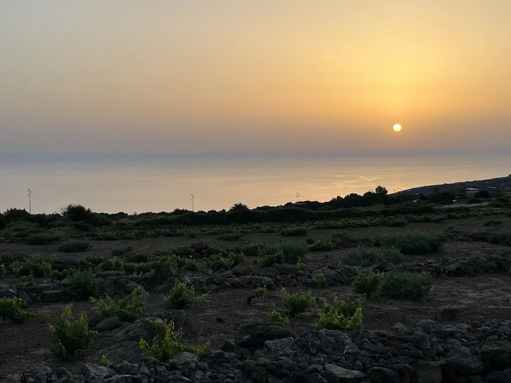 patricio_Dispensa Pantesca_Pantelleria_review