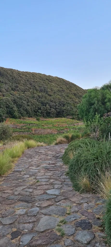 FB_Coste Ghirlanda - Officina_Pantelleria_review