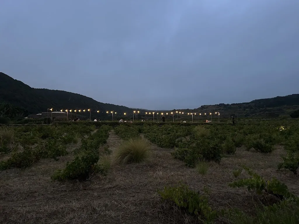 Viktoria Califano_Coste Ghirlanda - Officina_Pantelleria_review