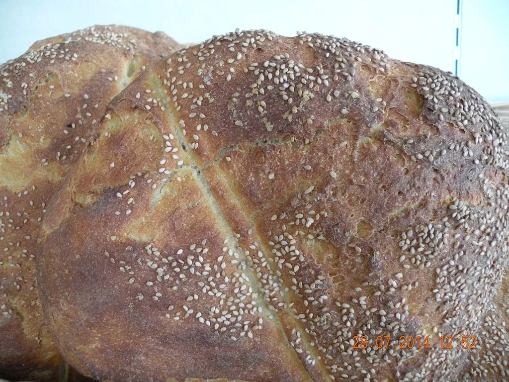 La Piana delle Bontà _Piana degli Albanesi_slider_image_2