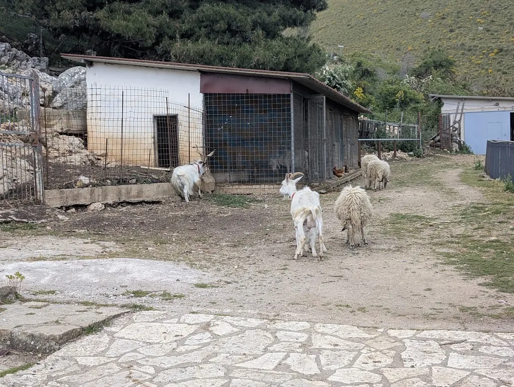 Giovanni Lombardo_Agriturismo Argomesi_Piana degli Albanesi_review